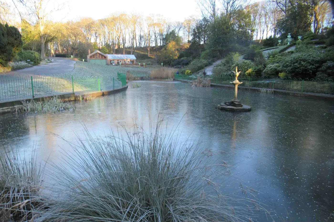 Parks, Green Spaces and Walks in North Shields